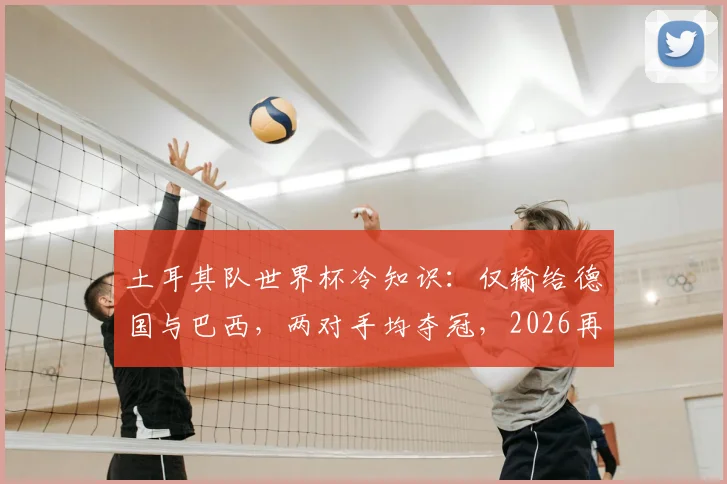 土耳其队世界杯冷知识：仅输给德国与巴西，两对手均夺冠，2026再战？