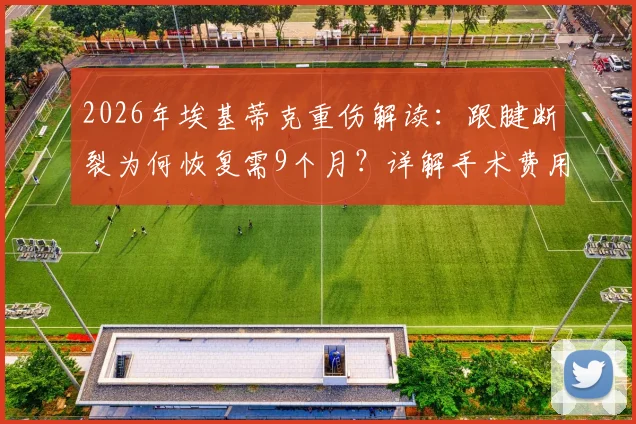 2026年埃基蒂克重伤解读:跟腱断裂为何恢复需9个月?详解手术费用及对运动员生涯影响
